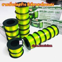 เอ็นสี